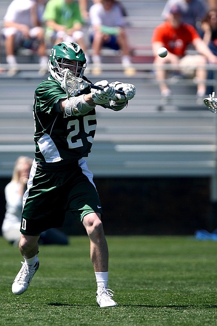 莎圣比赛中 莎圣比赛中